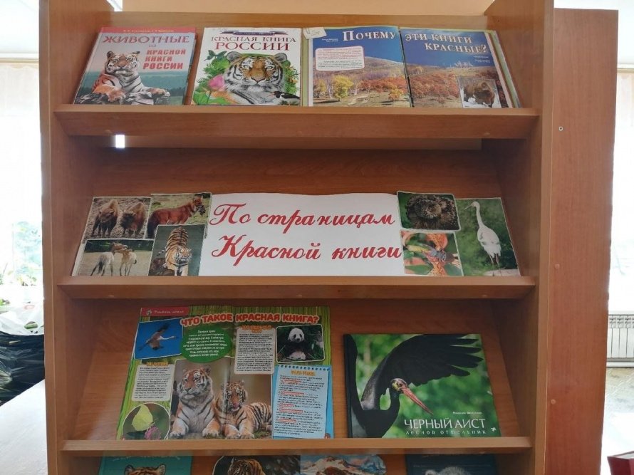 «Листая страницы Красной книги»