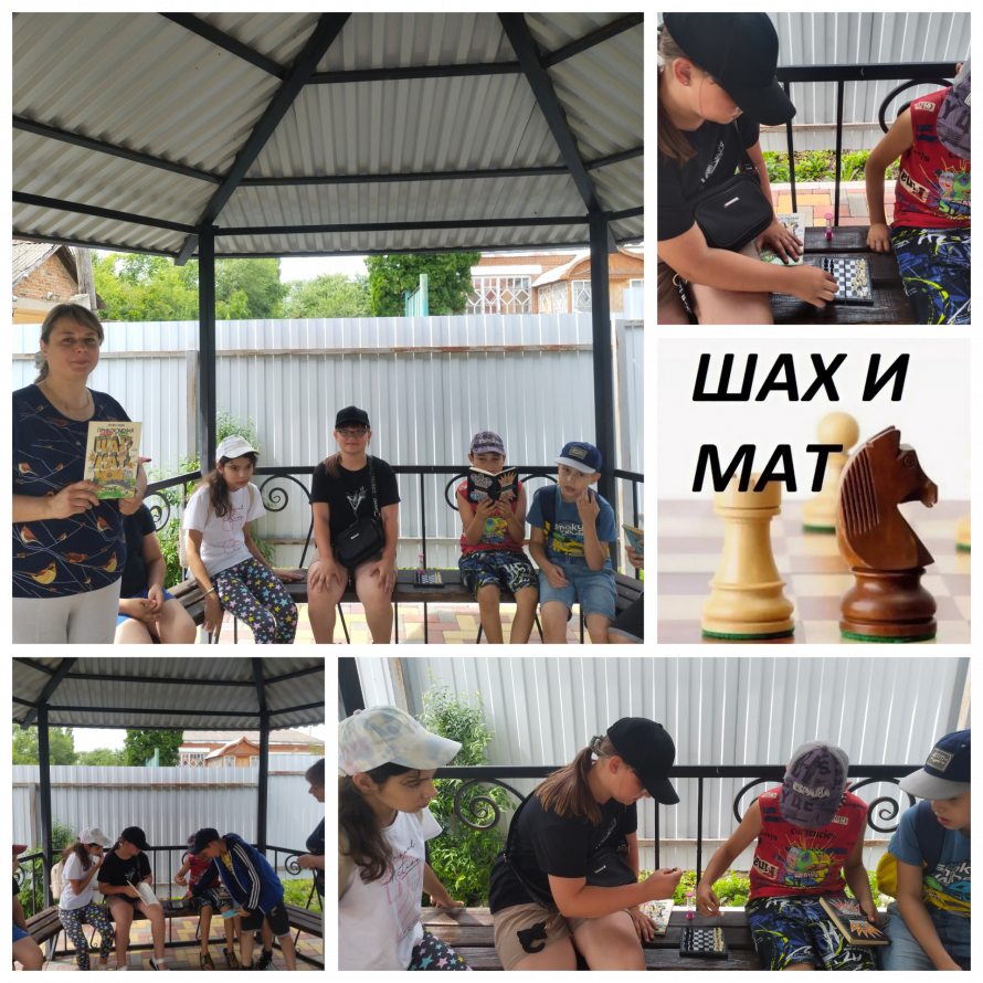 Занимательный час Шах и мат  (К международному дню шахмат).