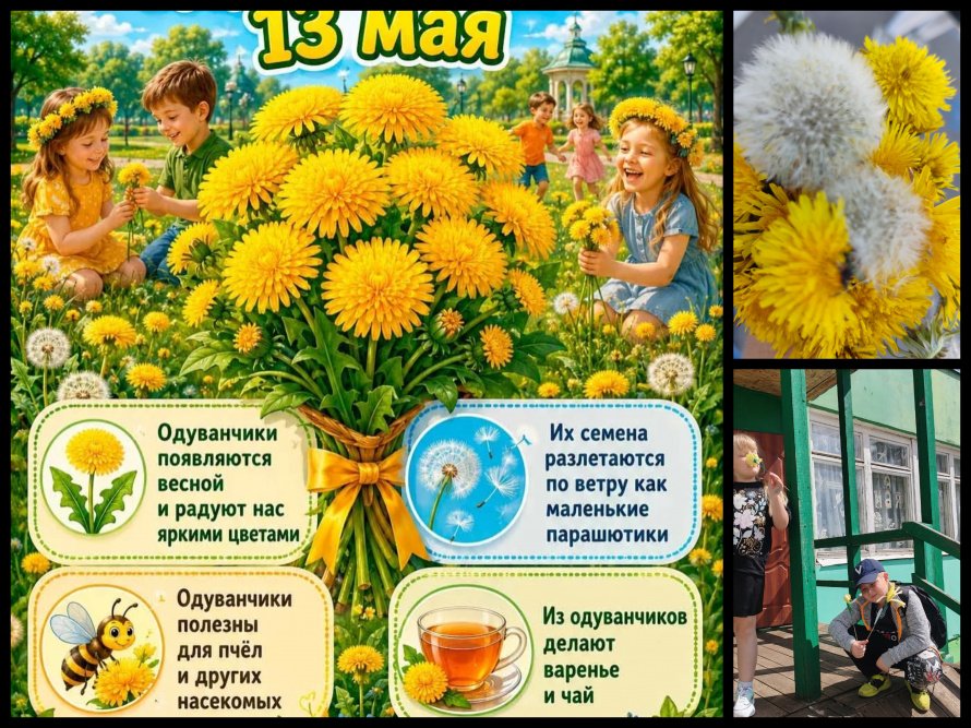 День одуванчика.