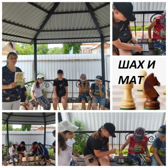 Занимательный час Шах и мат  (К международному дню шахмат).